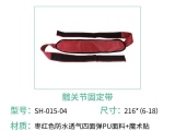 海绵好色视频APP在线观看有什么特点？